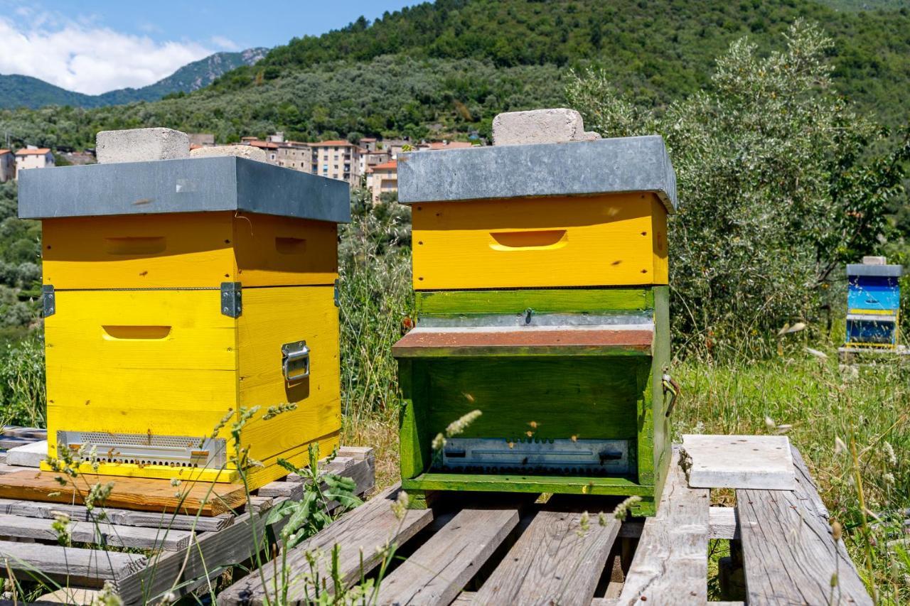 Colletta Arve Castelbianco - B&B E Appartamento מראה חיצוני תמונה